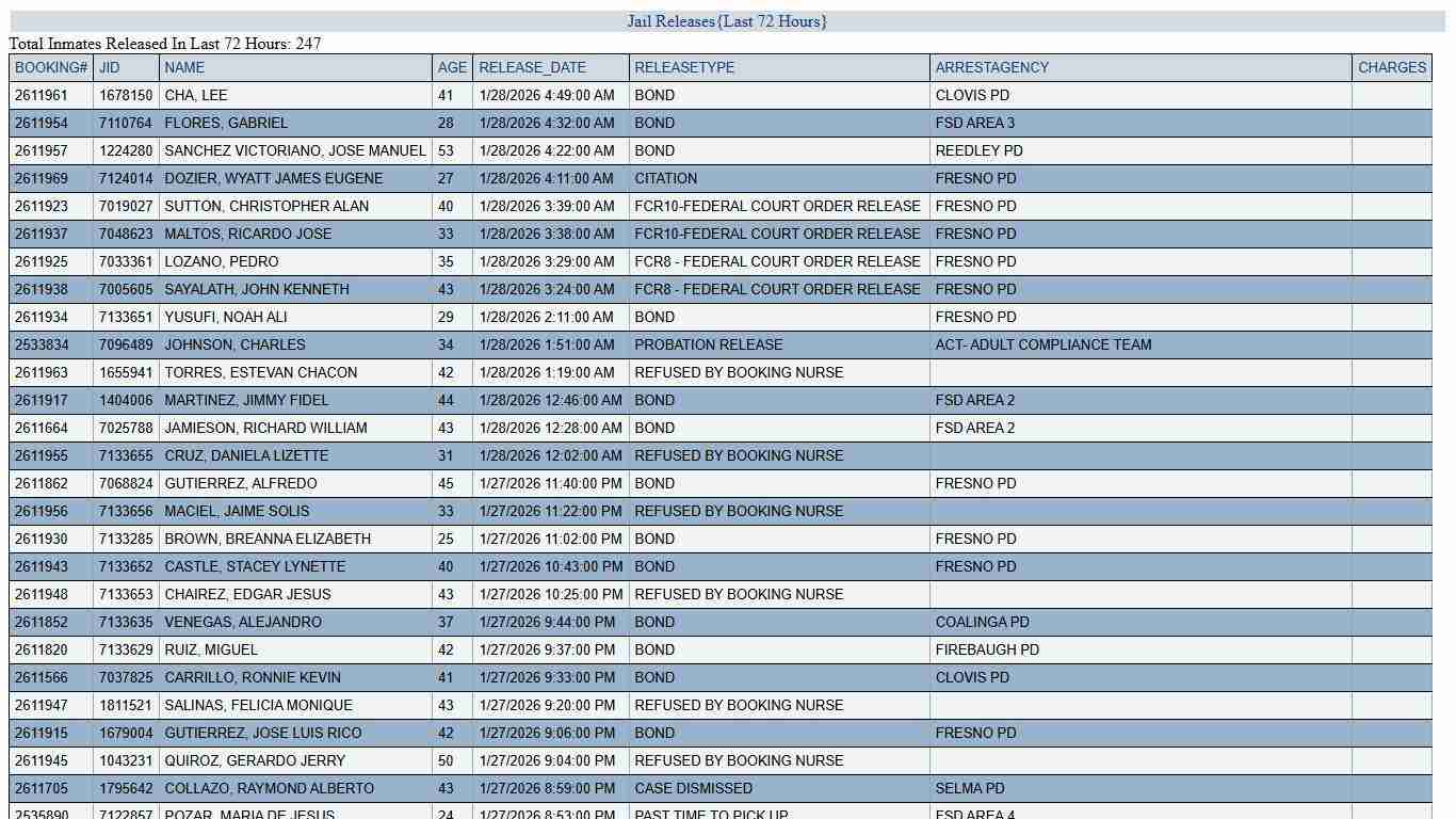 JAIL RELEASES - LAST 72 HRS
